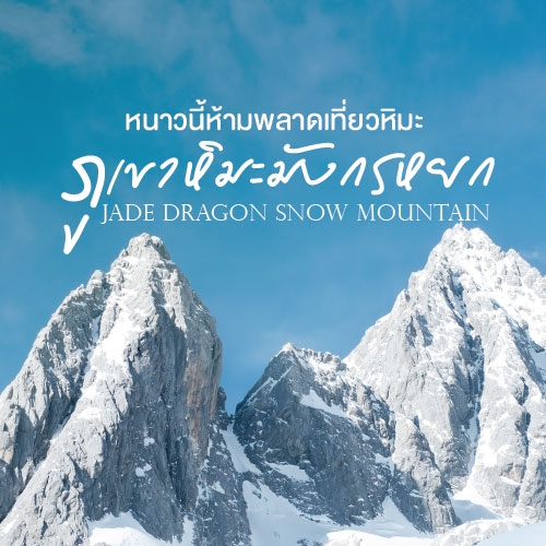 ภูเขาหิมะมังกรหยก ลี่เจียง-แชงกรีล่า ทัวร์จีนหน้าหนาวสุดฟิน