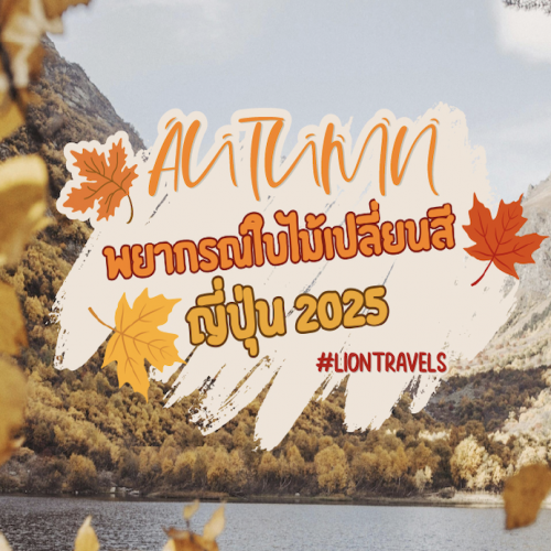 ใบไม้เปลี่ยนสีญี่ปุ่น 2025 แผนเที่ยวทัวร์ใบไม้แดงสุดฟิน