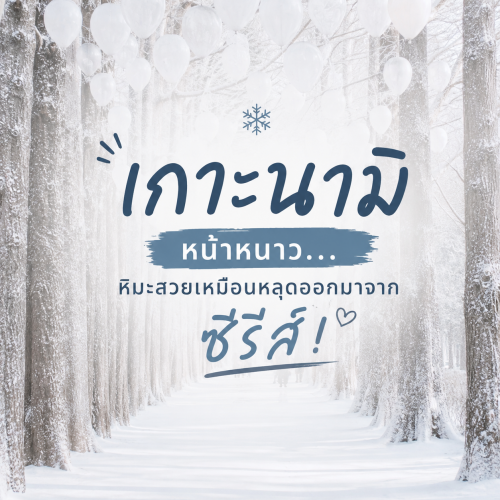 เกาะนามิหน้าหนาว เที่ยวเกาหลีสัมผัสหิมะบรรยากาศซีรีส์