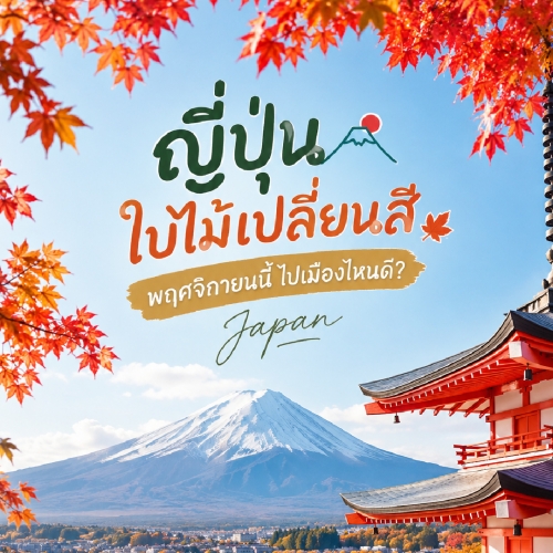 เที่ยวญี่ปุ่นพฤศจิกายน พิกัดชมใบไม้เปลี่ยนสีสวยที่สุด