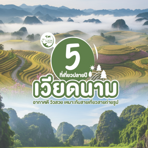 5 พิกัดเที่ยวเวียดนามปลายปี สวยครบทุกภาค | Lion Travels