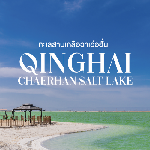 เที่ยวทะเลสาบเกลือฉาเอ่อฮั่น ชิงไห่ แลนด์มาร์คสายไหมที่ใหญ่ที่สุดในจีน