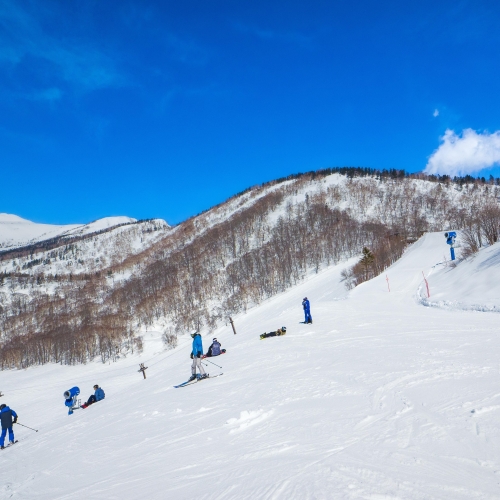 เที่ยว Hakuba Iwatake จุดชมวิวหิมะสุดอลังแห่ง Japan Alps