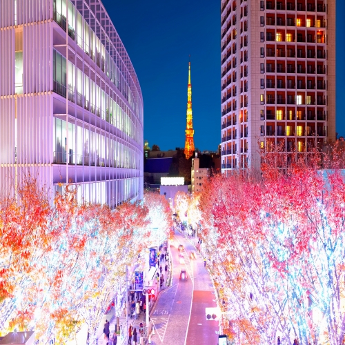 Roppongi Hills Christmas เทศกาลไฟคริสต์มาส โตเกียวสุดโรแมนติก