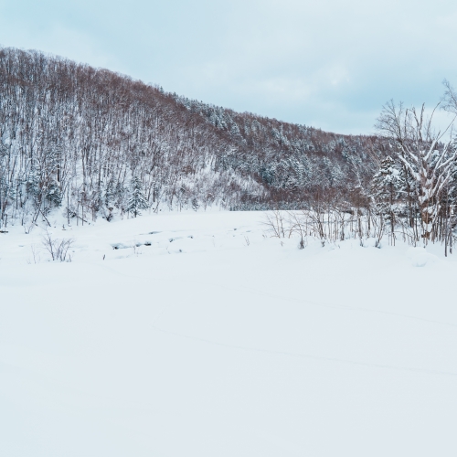 ทัวร์ฮอกไกโดหน้าหนาว หิมะฟูฉ่ำ วิวสุดโรแมนติก | LionTravels
