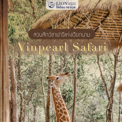 เที่ยว Vinpearl Safari ฟูก๊วก สวนสัตว์ซาฟารีแห่งเวียดนาม