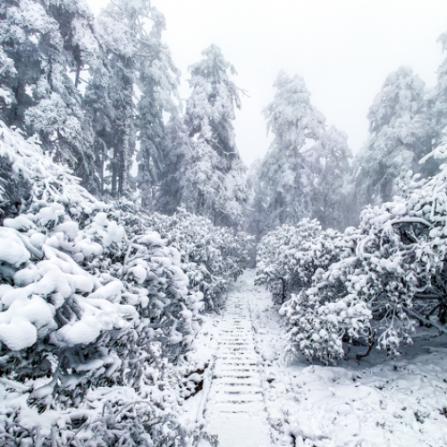 ภูเขาหิมะวาวู่ สวรรค์หิมะเสฉวน เที่ยวจีนหน้าหนาวสุดฟิน