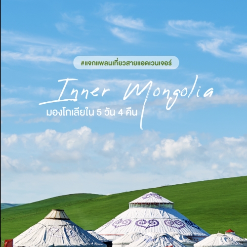 เที่ยว Ordos มองโกเลียใน ทะเลทราย ทุ่งหญ้า ครบจบในทริป