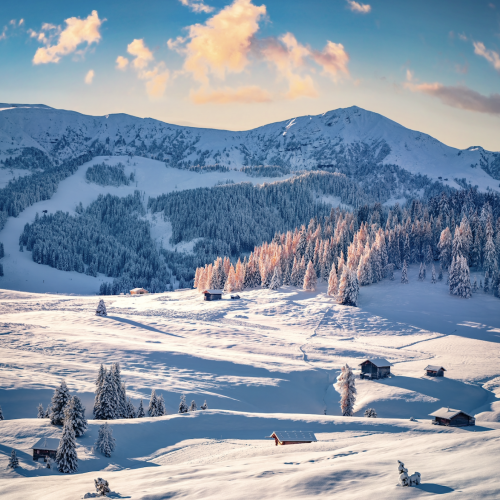 Alpe di Siusi สวรรค์หิมะในโดโลไมท์ สำหรับคนรักหิมะ