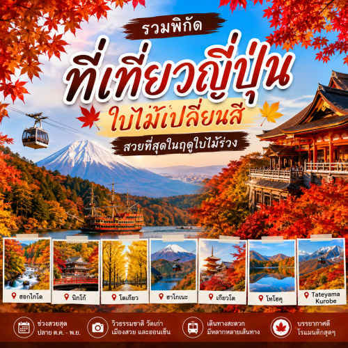 7 ที่เที่ยวญี่ปุ่น ใบไม้เปลี่ยนสี วิวสวย รวบรวมไฮไลท์ที่ไม่ควรพลาด