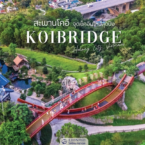 สะพานโคอิ จุดเช็คอินวิวอ่าวตังเกี๋ย ฮาลองเวียดนาม
