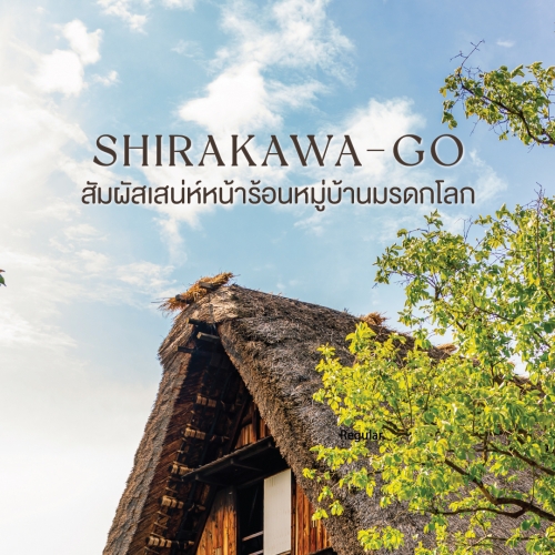 หน้าร้อนที่ชิราคาวาโกะ หมู่บ้านมรดกโลกกลางหุบเขา