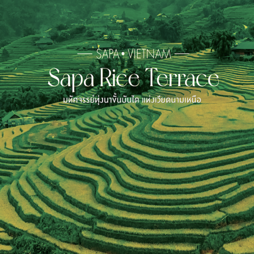 Sapa Rice Terrace ทุ่งนาขั้นบันได เวียดนามเหนือสุดงดงาม