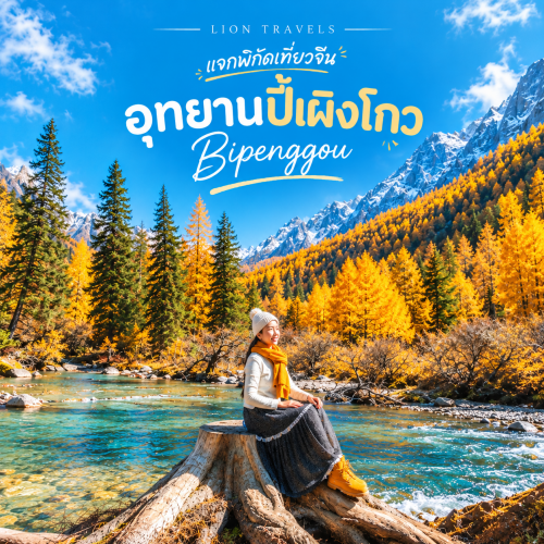 เที่ยวปี้เผิงโกว ใบไม้เปลี่ยนสีเสฉวน ทัวร์จีนสไตล์ธรรมชาติ