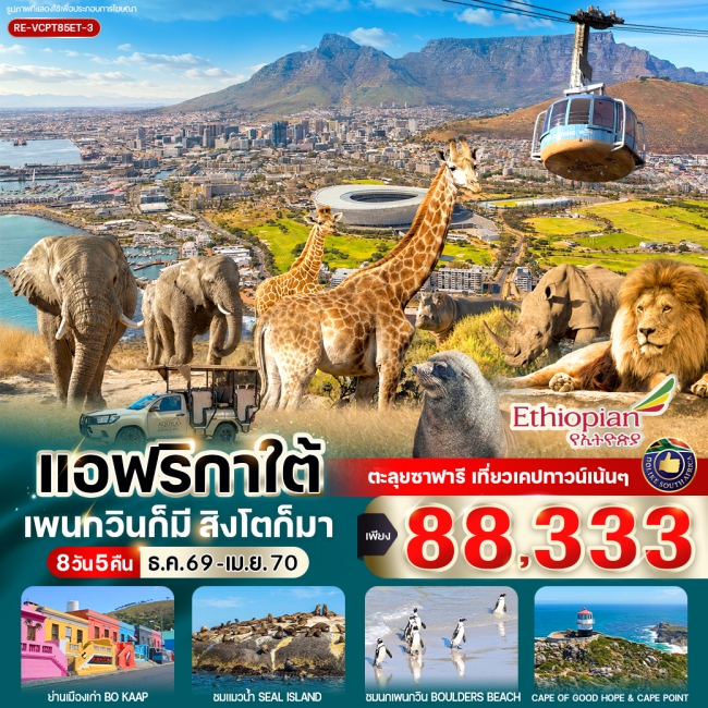 ทัวร์แอฟริกาใต้ แพนกวินก็มี สิงโตก็มา 8วัน5คืน BY ET ( VWS ) ทัวร์แอฟริกาใต้ แพนกวินก็มี สิงโตก็มา 8วัน5คืน BY ET ( VWS )