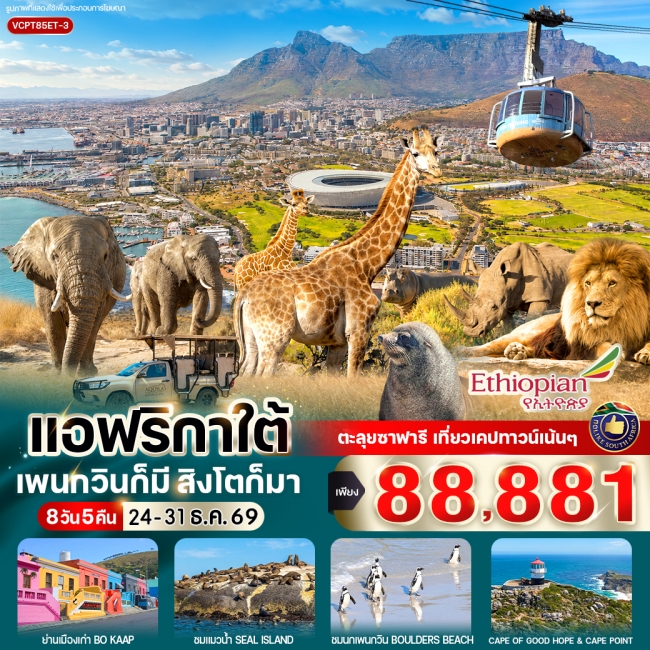 ทัวร์เกาหลี BUSAN BLOSSOM 4D 2N BY 7C (TW) ทัวร์แอฟริกาใต้ แพนกวินก็มี สิงโตก็มา 8วัน5คืน BY ET ( CI )