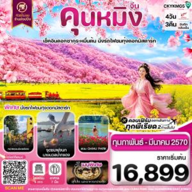 ทัวร์เกาหลี BUSAN BLOSSOM 4D 2N BY 7C (TW) ทัวร์จีนคุนหมิง อี้เหลียง โหลผิง สวนดอกไม้ ไม่ลงร้าน 4 วัน 3 คืน บิน KY ( CI )