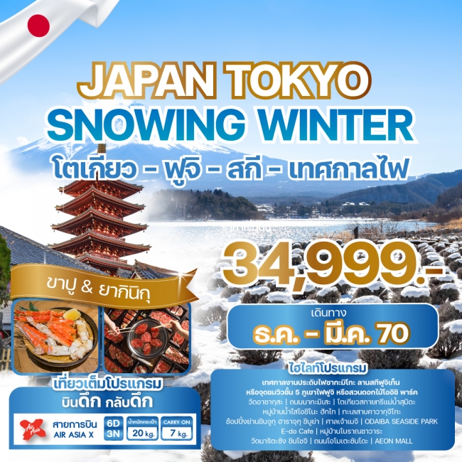 ทัวร์ญี่ปุ่น JAPAN TOKYO SNOWING WINTER(WE) ทัวร์ญี่ปุ่น JAPAN TOKYO SNOWING WINTER(WE)