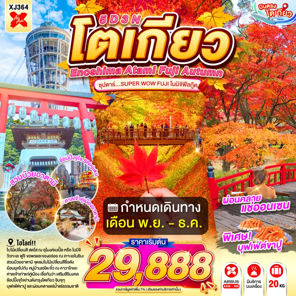 ทัวร์ญี่ปุ่น ENOSHIMA ATAMI TOKYO FUJI AUTUMN (TTN) ทัวร์ญี่ปุ่น ENOSHIMA ATAMI TOKYO FUJI AUTUMN (TTN)