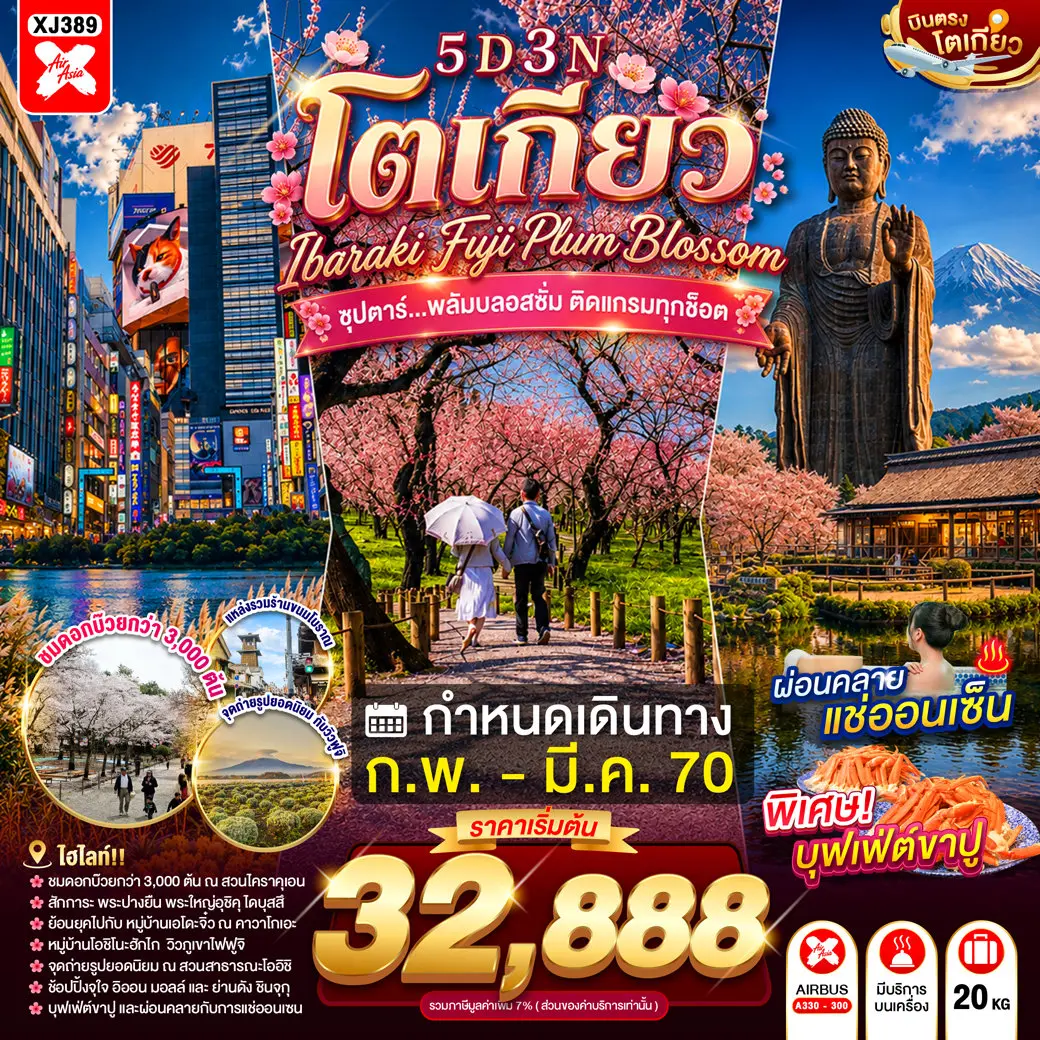 ทัวร์ญี่ปุ่น TOKYO IBARAKI FUJI PLUM BLOSSOM 5D 3N(TTN) ทัวร์ญี่ปุ่น TOKYO IBARAKI FUJI PLUM BLOSSOM 5D 3N(TTN)