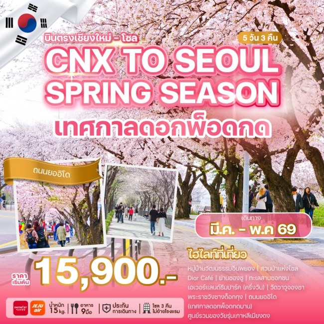 ทัวร์เกาหลี BUSAN BLOSSOM 4D 2N BY 7C (TW) ทัวร์เกาหลี บินตรงเชียงใหม่ - โซล CHIANG MAI TO SEOUL SPRING SEASON (WE)