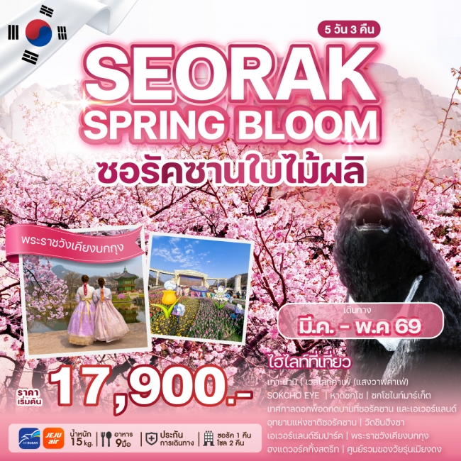 ทัวร์เกาหลี SEORAK SPRING BLOOM (WE)