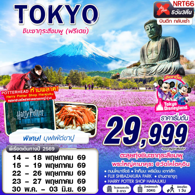 ทัวร์TOKYO ชิบะซากุระสีชมพู (FREEDAY) บินดึกกลับเช้า 5D3N (GS)