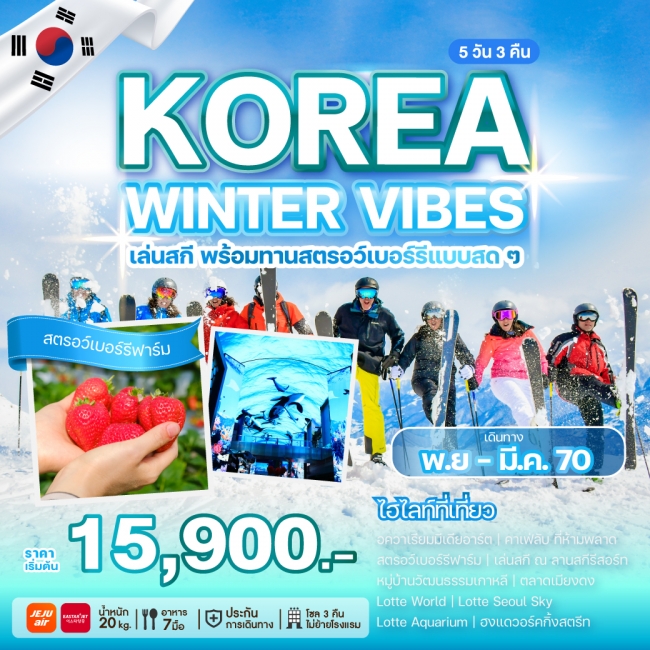 ทัวร์เกาหลี KOREA WINTER VIBES(WE)