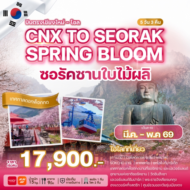 ทัวร์เกาหลีบินตรงเชียงใหม่ CHIANG MAI TO SEORAK SPRING BLOOM (WE)