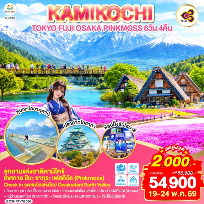ทัวร์เกาหลี BUSAN BLOSSOM 4D 2N BY 7C (TW) ทัวร์ญี่ปุุ่น TOKYO FUJI OSAKA KAMIKOCHI PINKMOSS 6D4N TG (GO)