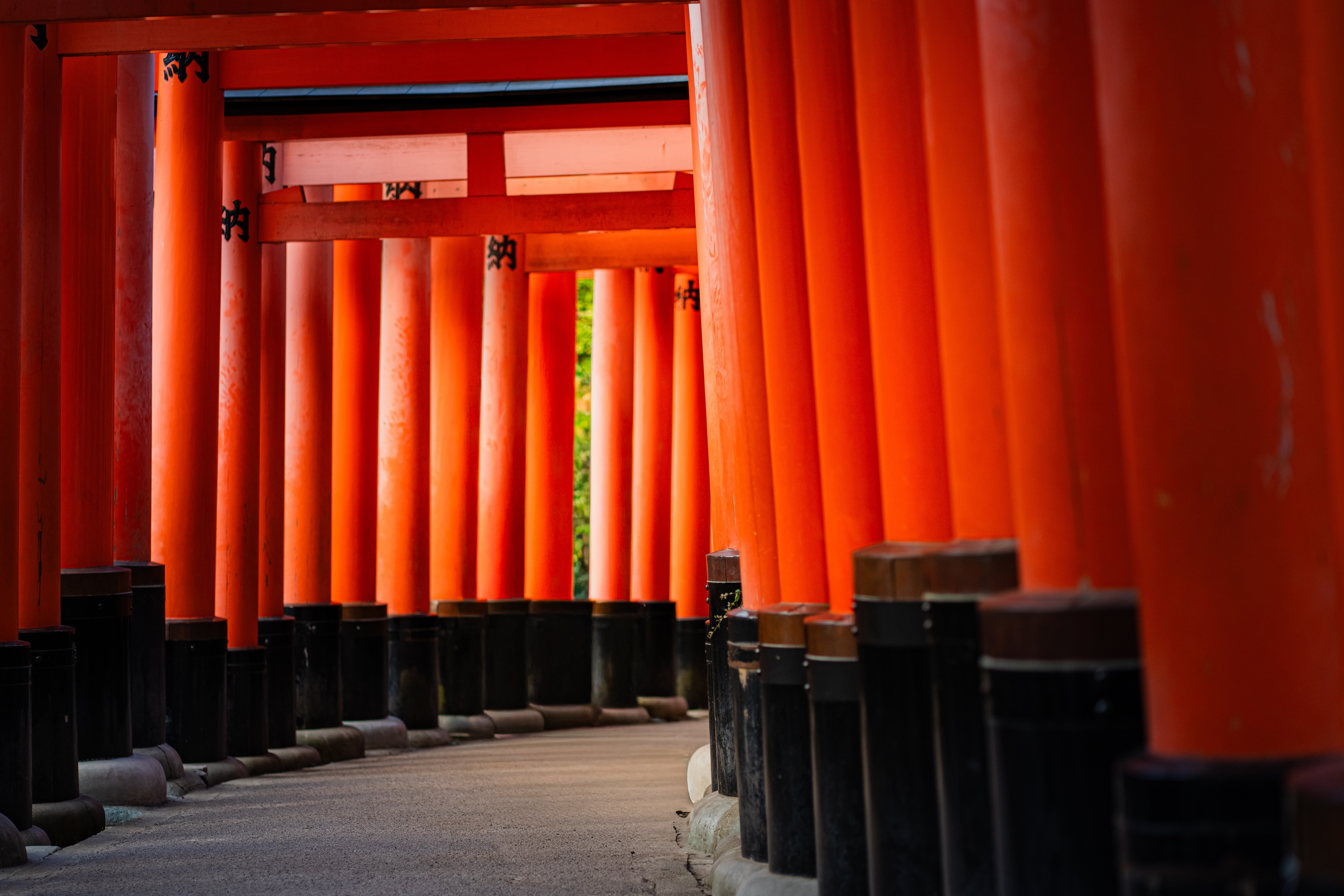 อุโมงค์เสาโทริอิสีแดง Fushimi Inari Taisha เส้นทางเดินขึ้นเขาอินาริ เมืองเกียวโต