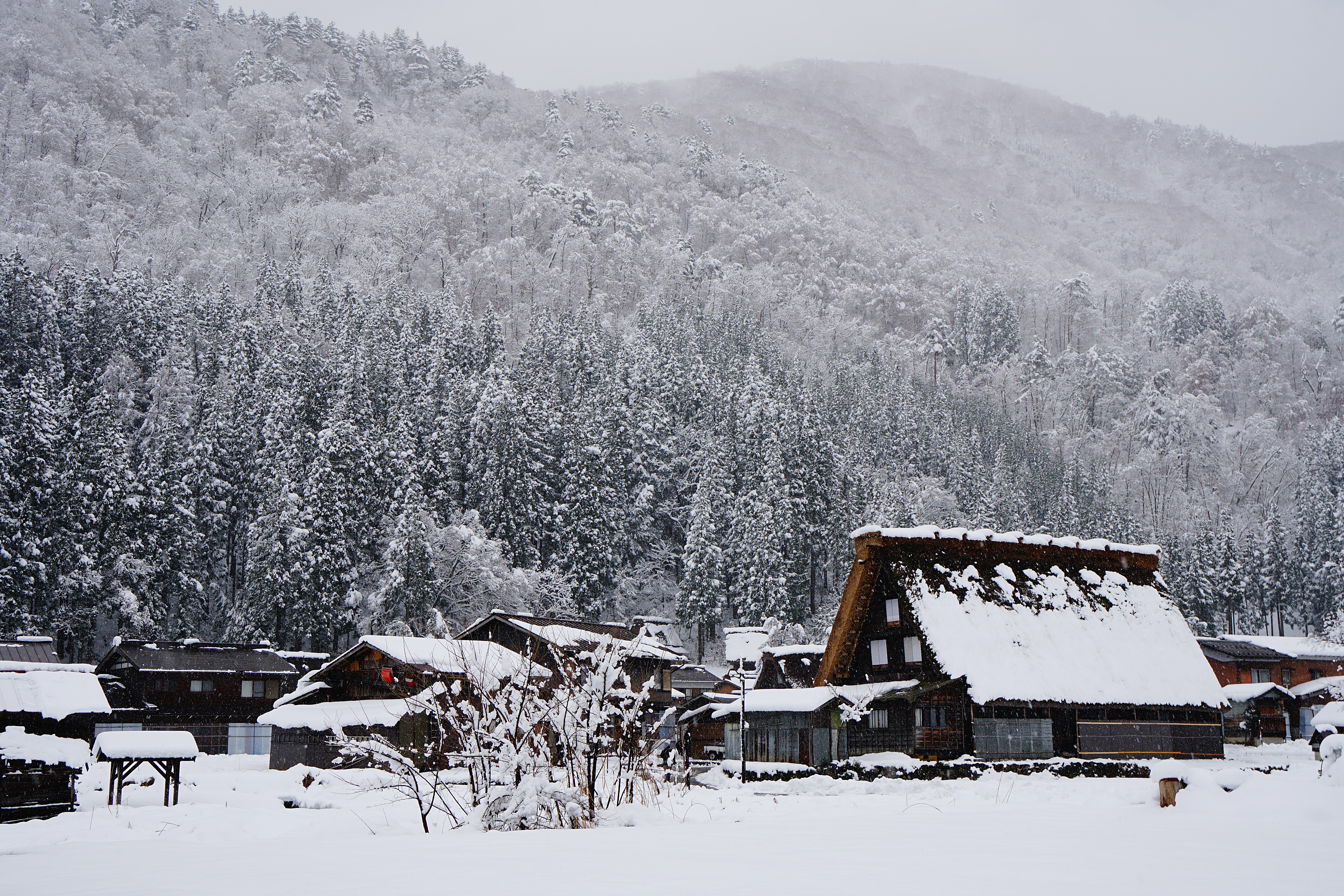 บรรยากาศหมู่บ้านชิราคาวาโกะ Shirakawa-go ช่วงฤดูหนาว หิมะตกคลุมหลังคาบ้านกัสโชสึคุริ