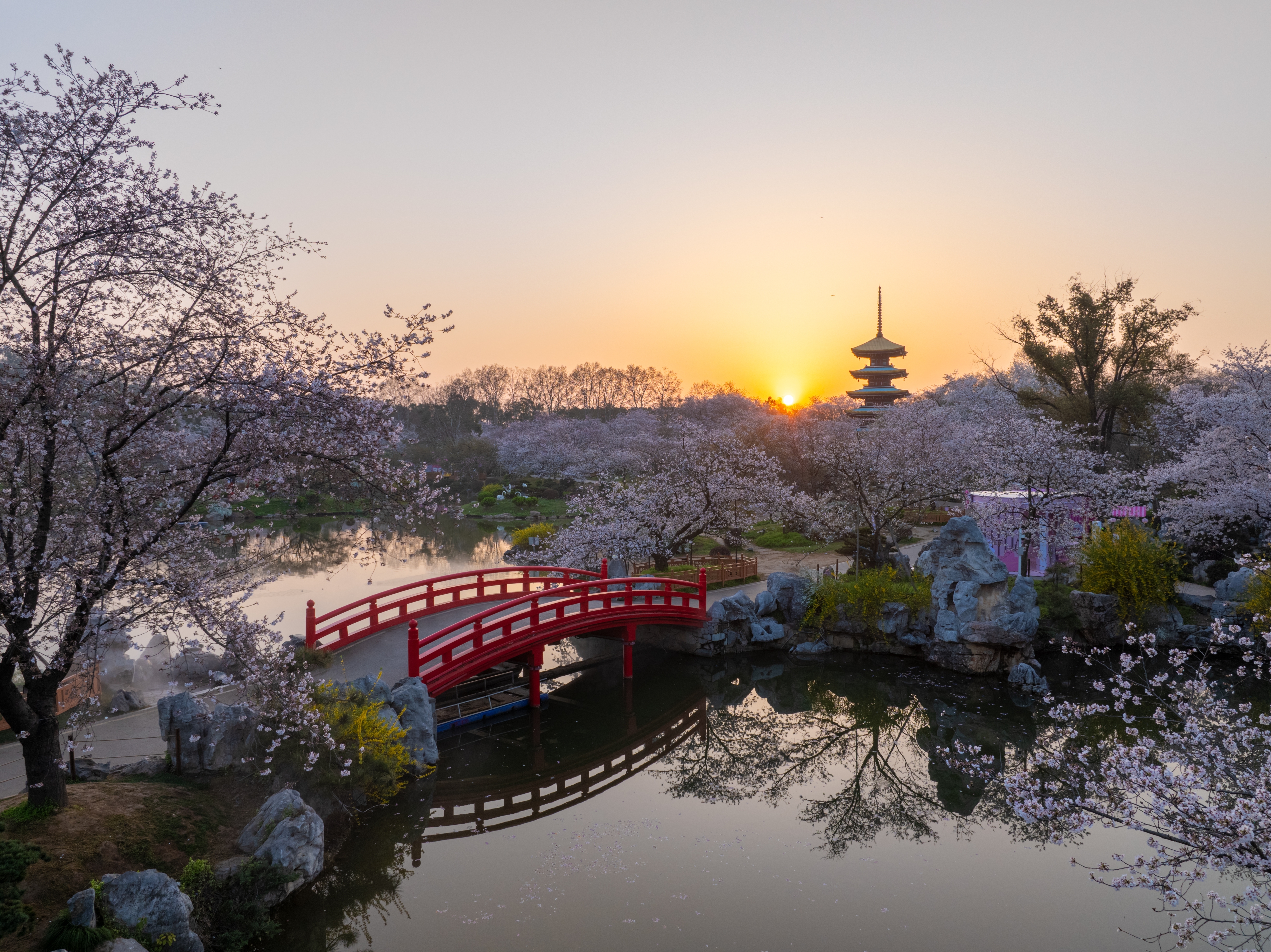 Yuantouzhu Scenic Area Wuxi จุดชมซากุระริมทะเลสาบ Taihu ประเทศจีน