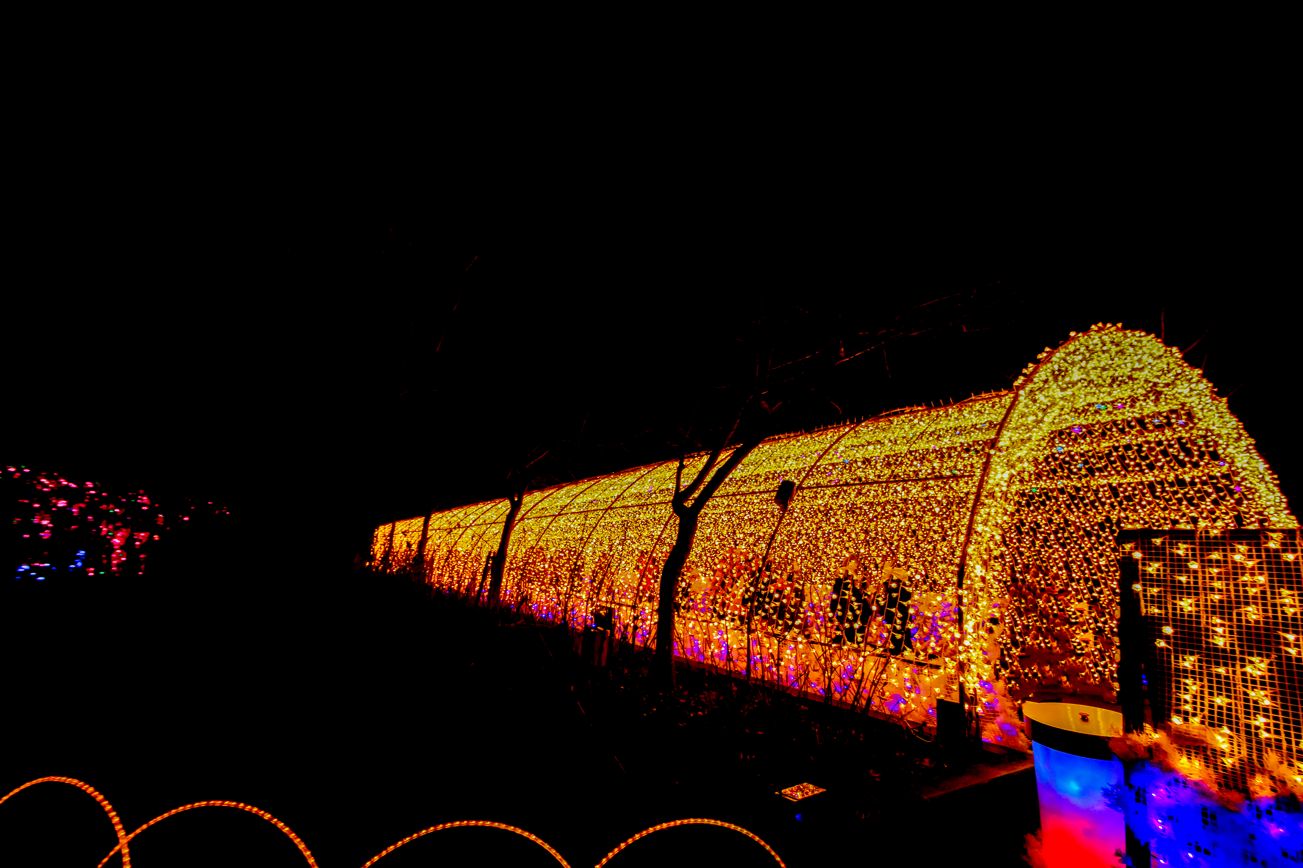 บรรยากาศ Nabana No Sato Illumination สวนดอกไม้ญี่ปุ่น