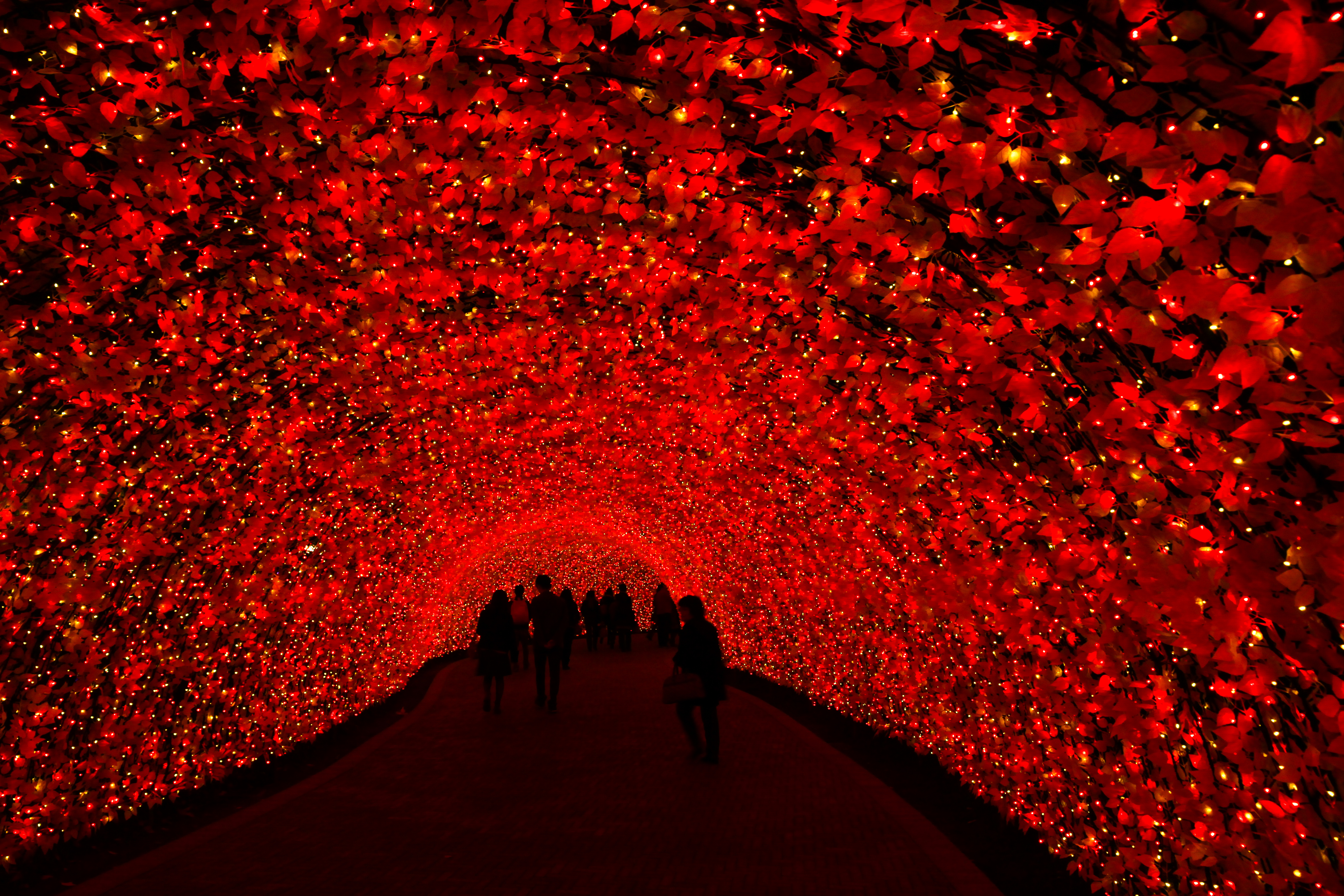 อุโมงค์ไฟ Nabana No Sato Illumination ญี่ปุ่น