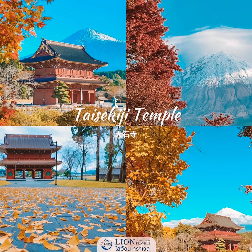 บรรยากาศเงียบสงบภายในวัดไทเซกิจิ จังหวัดชิซูโอกะ ช่วงฤดูใบไม้ร่วง