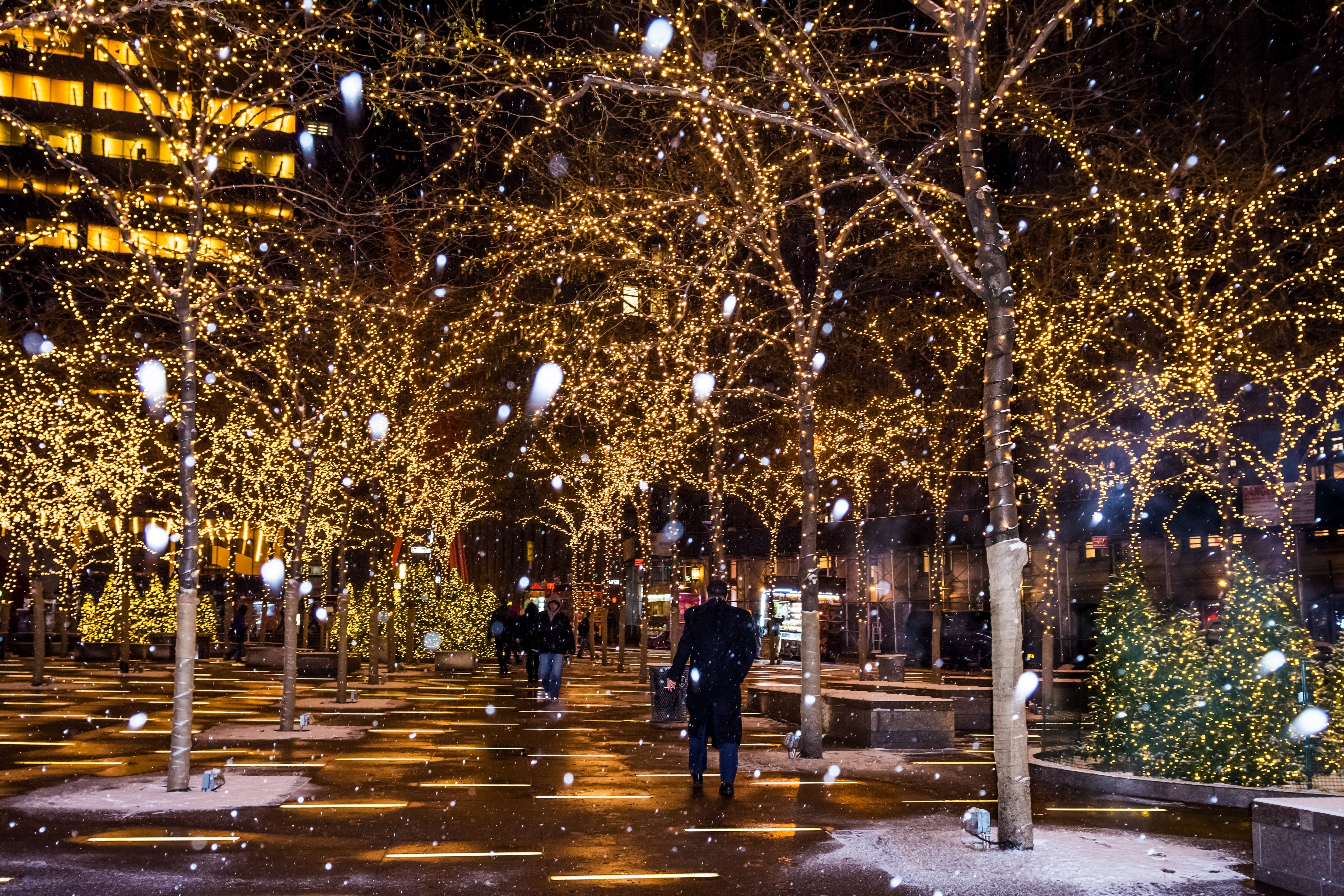 ภาพบรรยากาศคู่รักเดินชมไฟ Midosuji Illumination โอซาก้า ยามค่ำคืน สุดโรแมนติก
