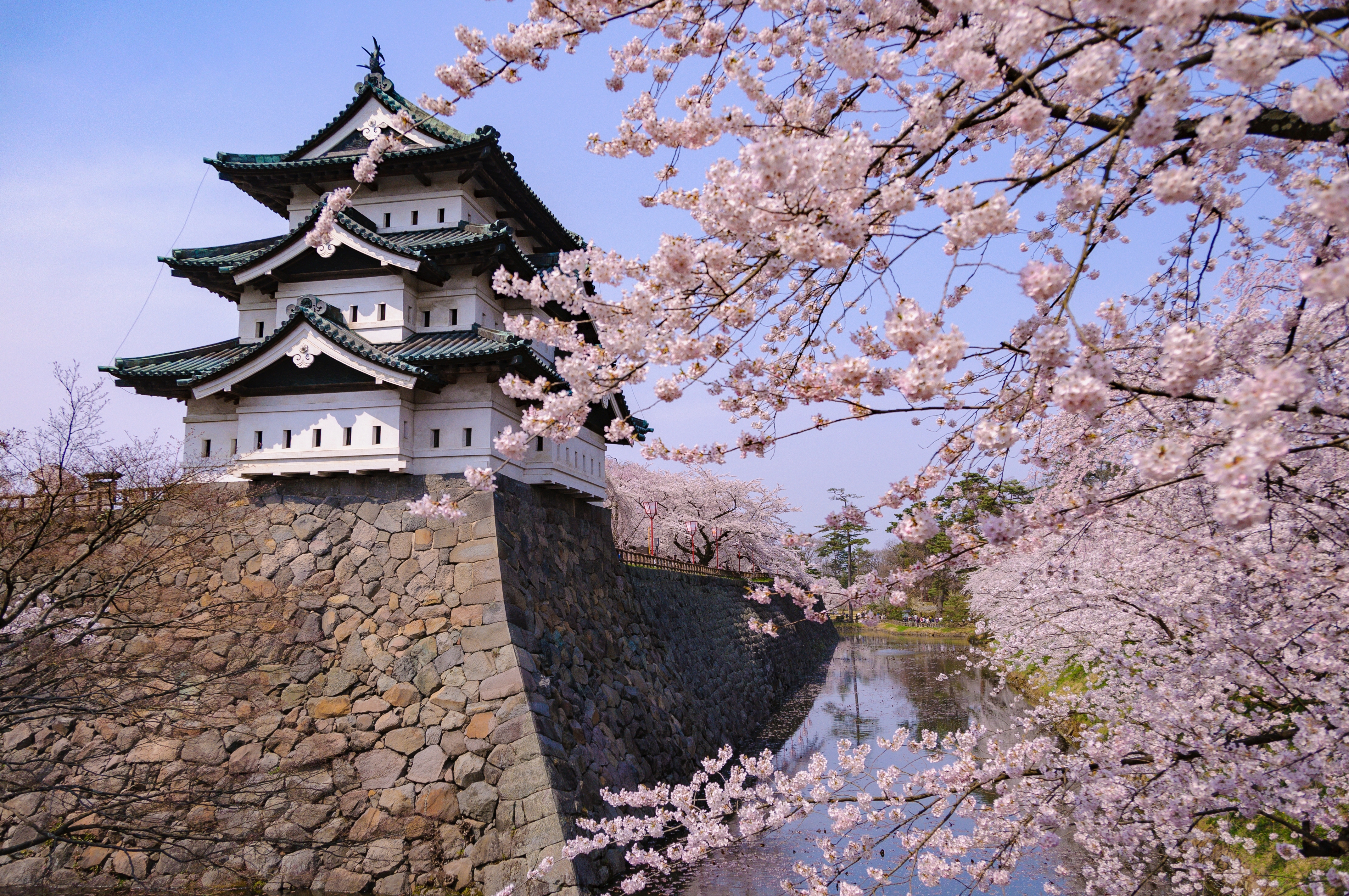 สะพานแดงและซากุระที่ Hirosaki Castle จุดถ่ายรูปยอดนิยมในญี่ปุ่น