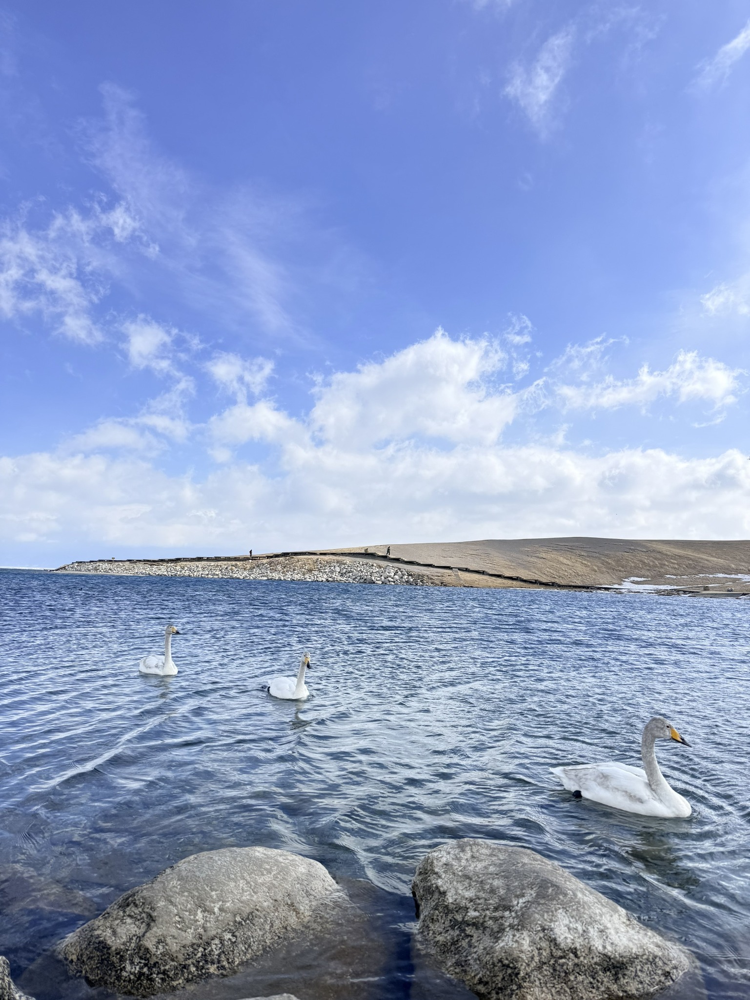 Sayram Lake Xinjiang ทะเลสาบไซ่หลี่มู่ วิวภูเขา ทุ่งหญ้า ธรรมชาติสวยประเทศจีน