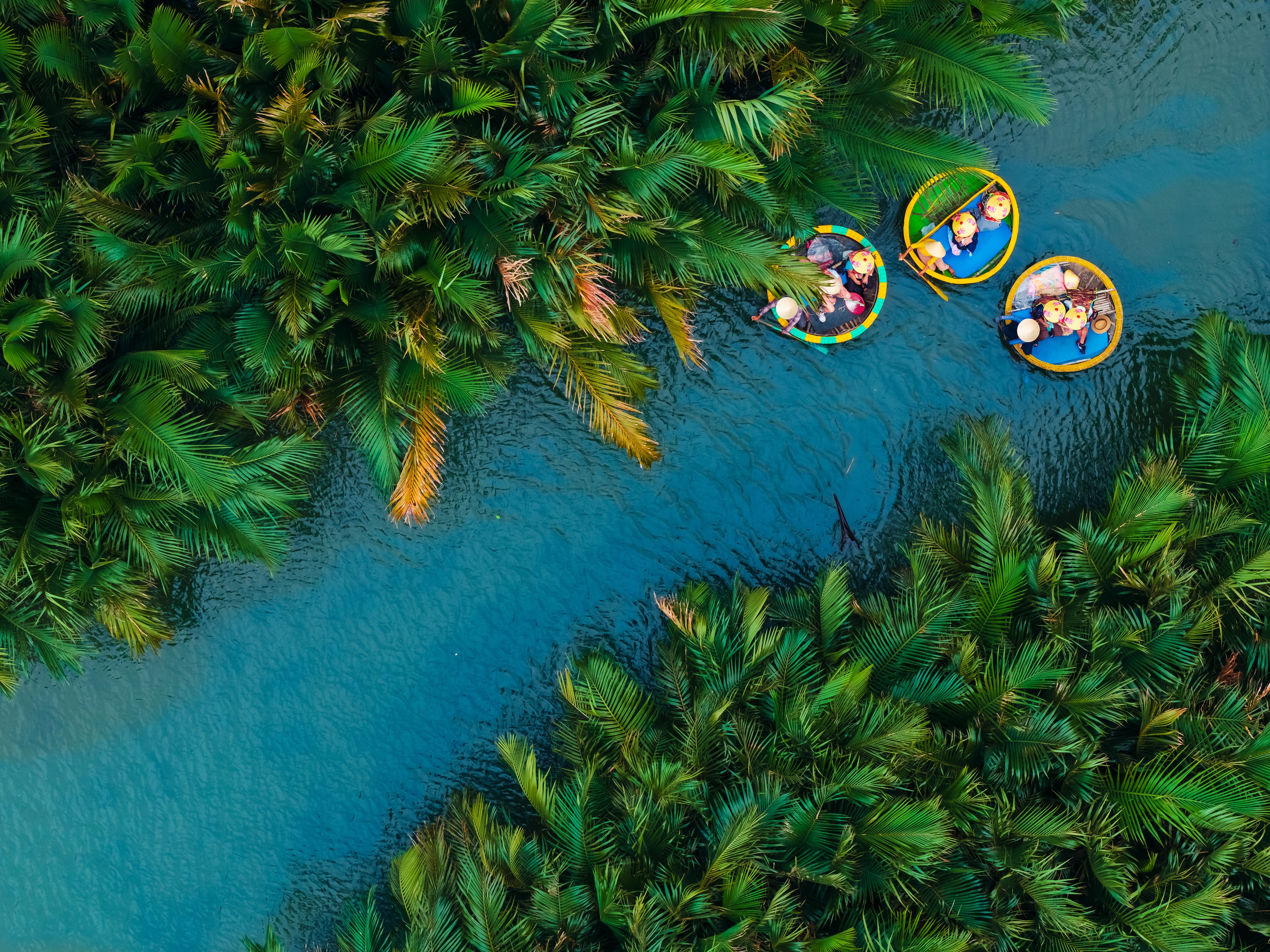 ล่องเรือกระด้ง ฮอยอัน วิวสวยริมแม่น้ำ