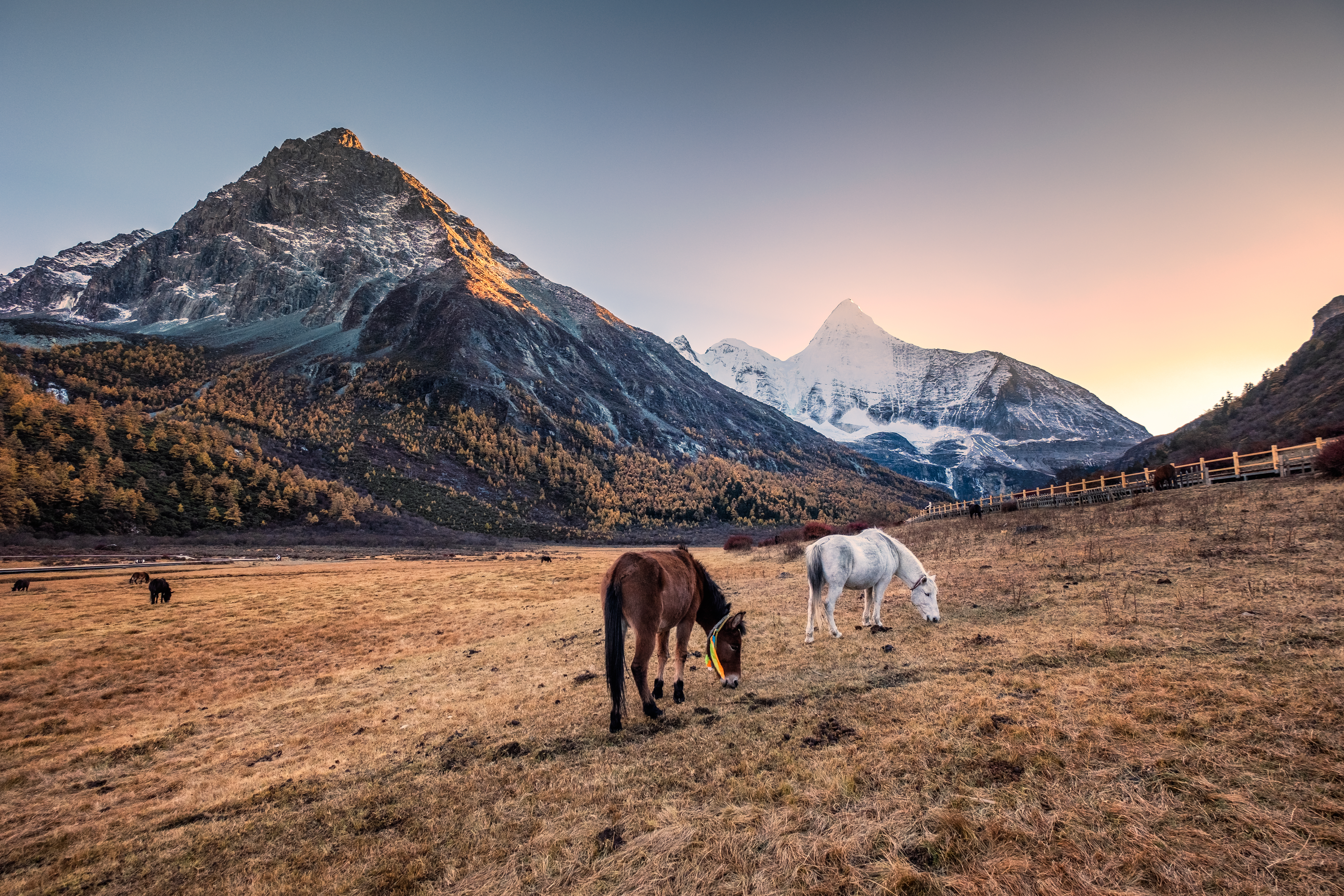 ภาพทัศนียภาพกว้างของอุทยานย่าติง เมืองเต้าเฉิง มณฑลเสฉวน ประเทศจีน