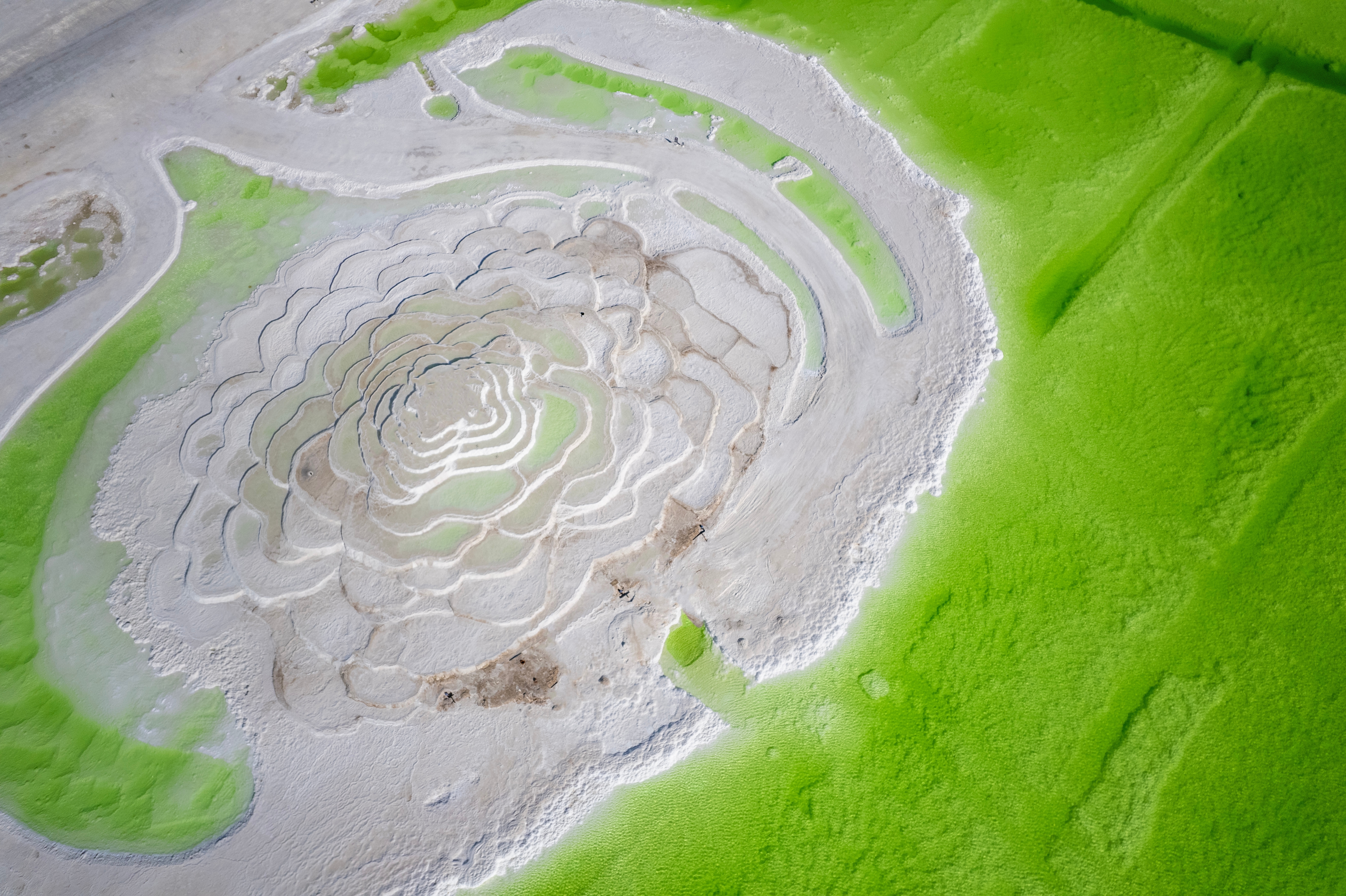 ผลึกเกลือสีขาวบริสุทธิ์และผืนน้ำสีเขียวมรกต ณ ทะเลสาบฉาเอ่อฮั่น เส้นทางสายไหม ประเทศจีน