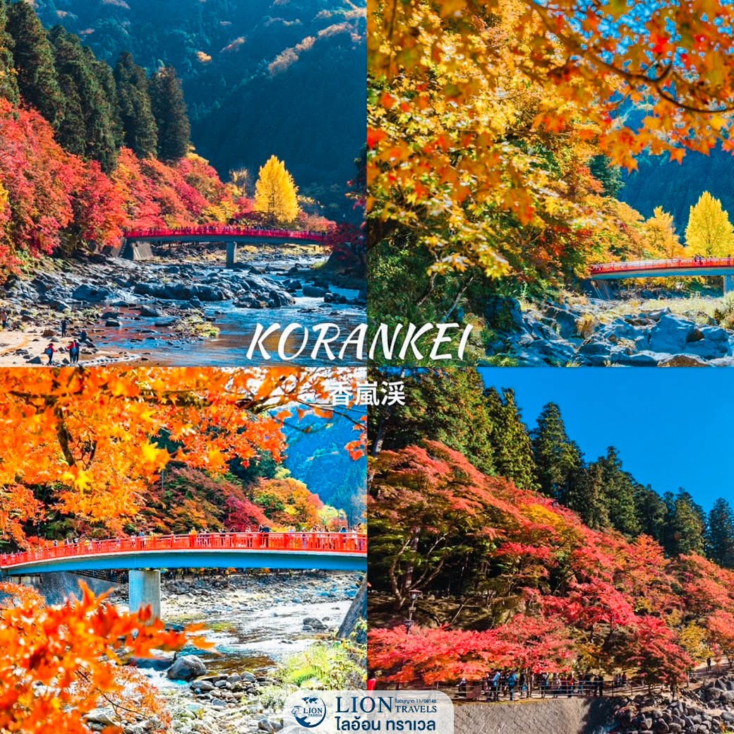 ทางเดินเลียบแม่น้ำที่โครังเค ล้อมรอบด้วยต้นเมเปิลเปลี่ยนสีสีแดงสด