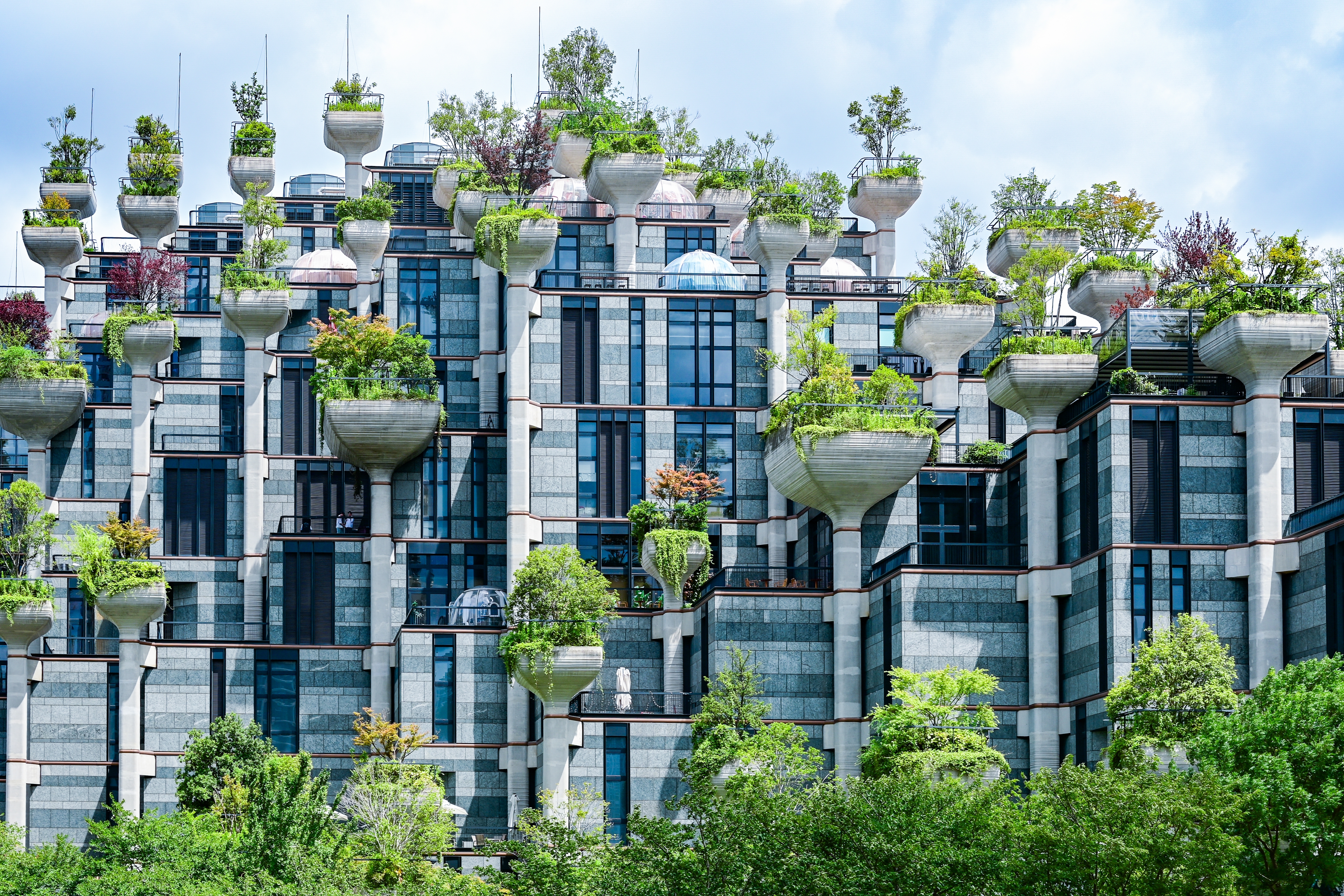 Tian An 1000 Trees มุมสะพาน เซี่ยงไฮ้ วิวแลนด์มาร์คต้นไม้พันต้น