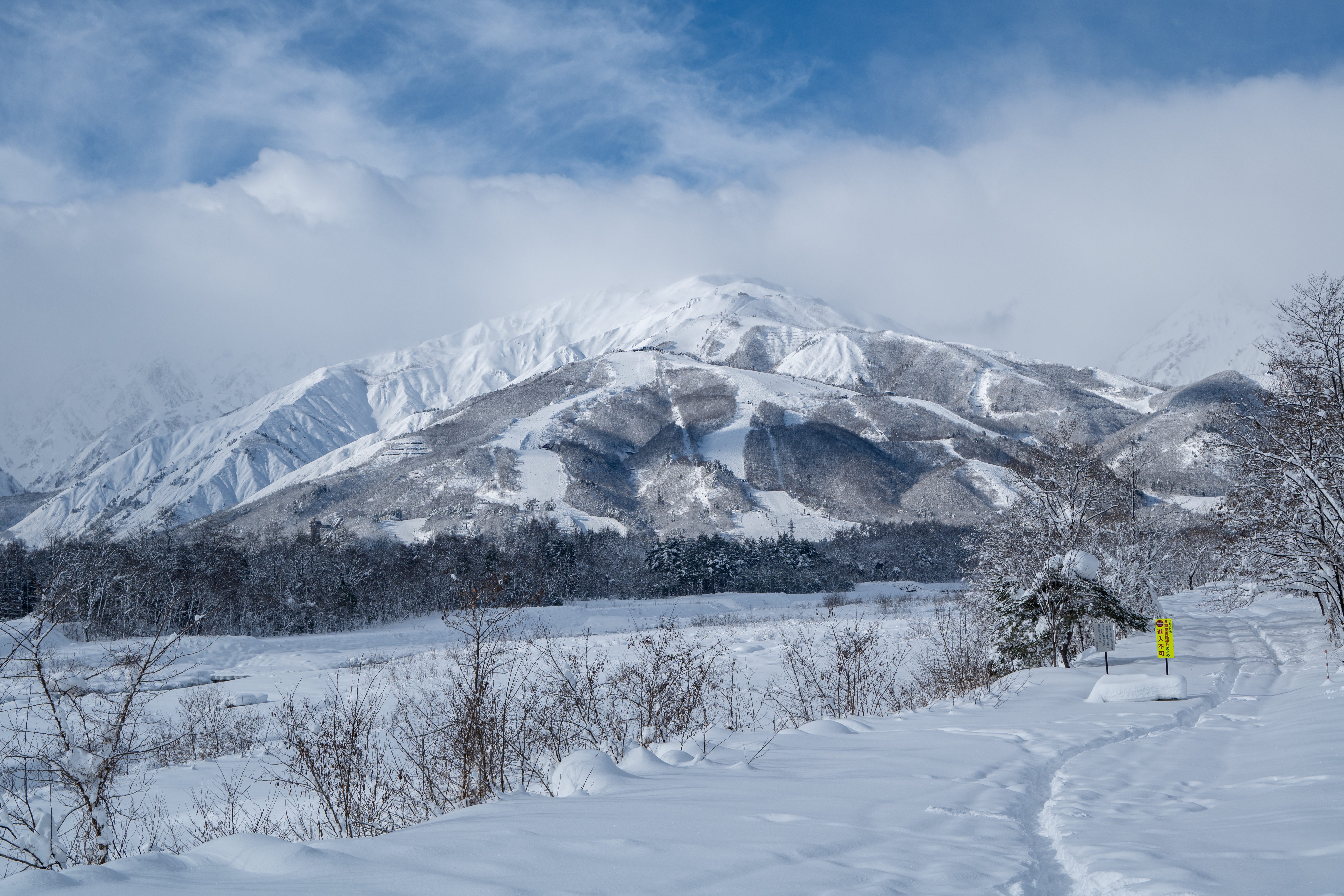 ลานสกี Hakuba Iwatake เปิดฤดูกาลหิมะในเดือนธันวาคม ชมวิวเทือกเขา Japan Alps