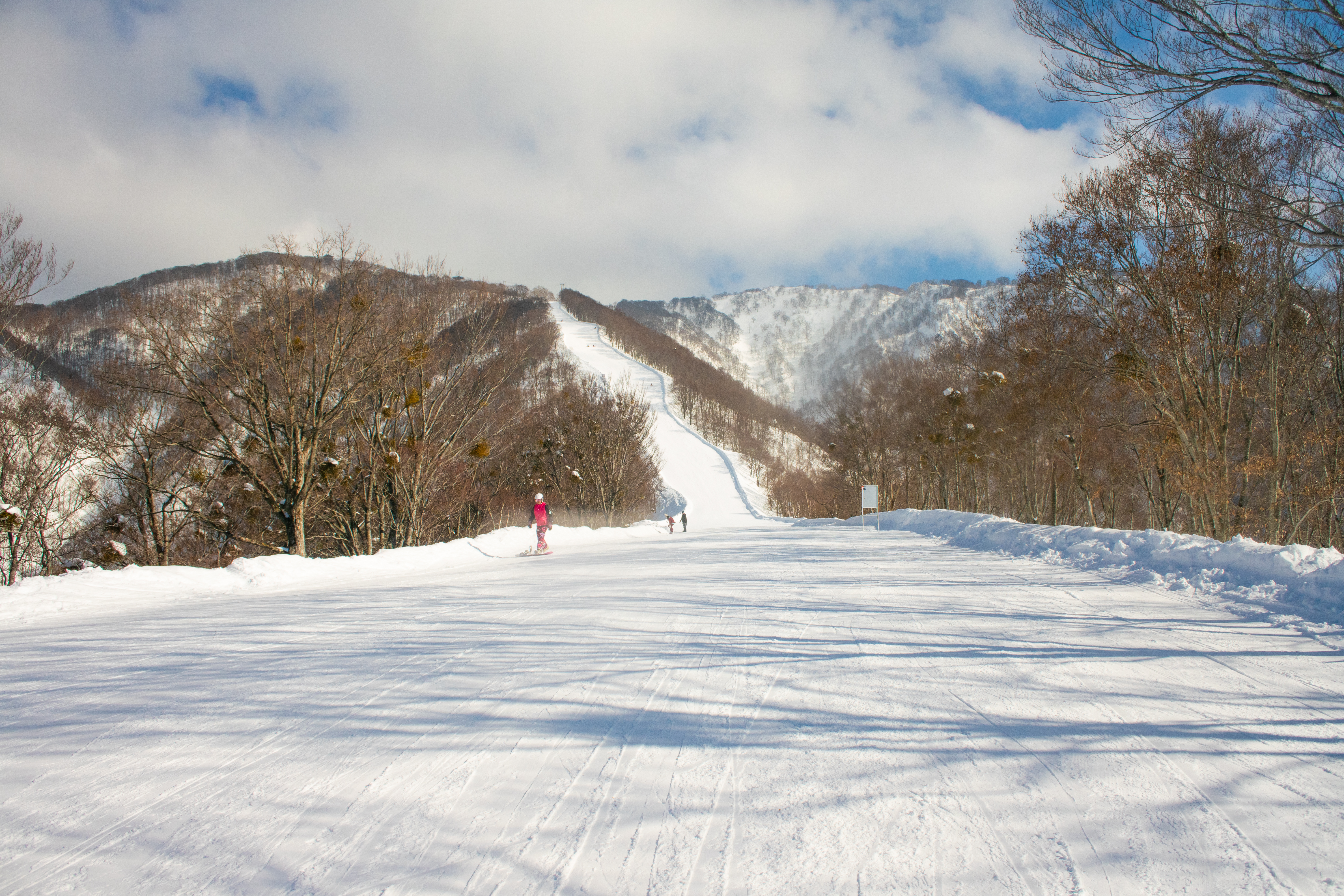 นักท่องเที่ยวและสัตว์เลี้ยงเล่นหิมะที่ Nozawa Onsen Ski Resort Nagano