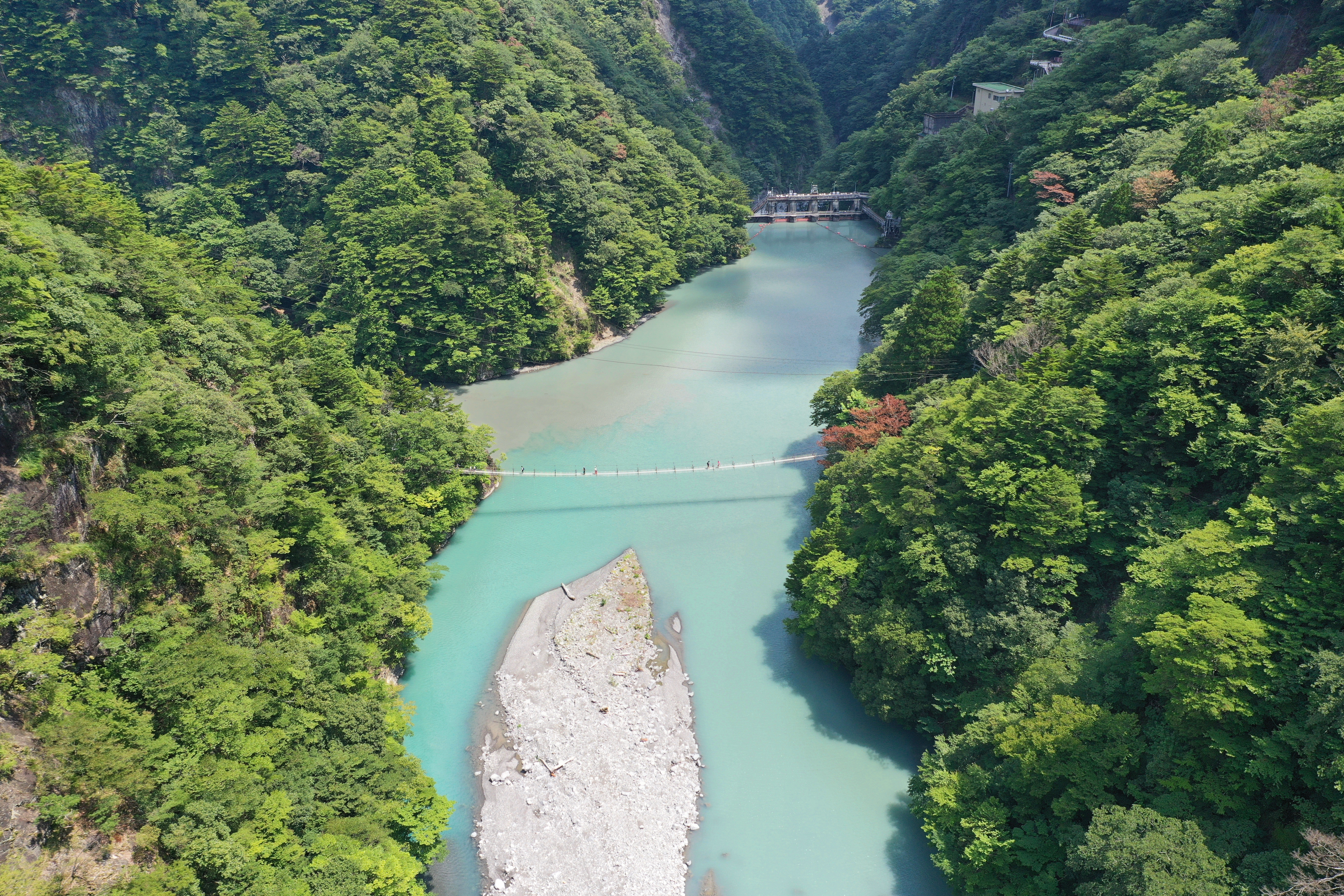 วิวมุมสูงของสะพานยูเมะ โนะ สึริบาชิและป่าล้อมรอบ