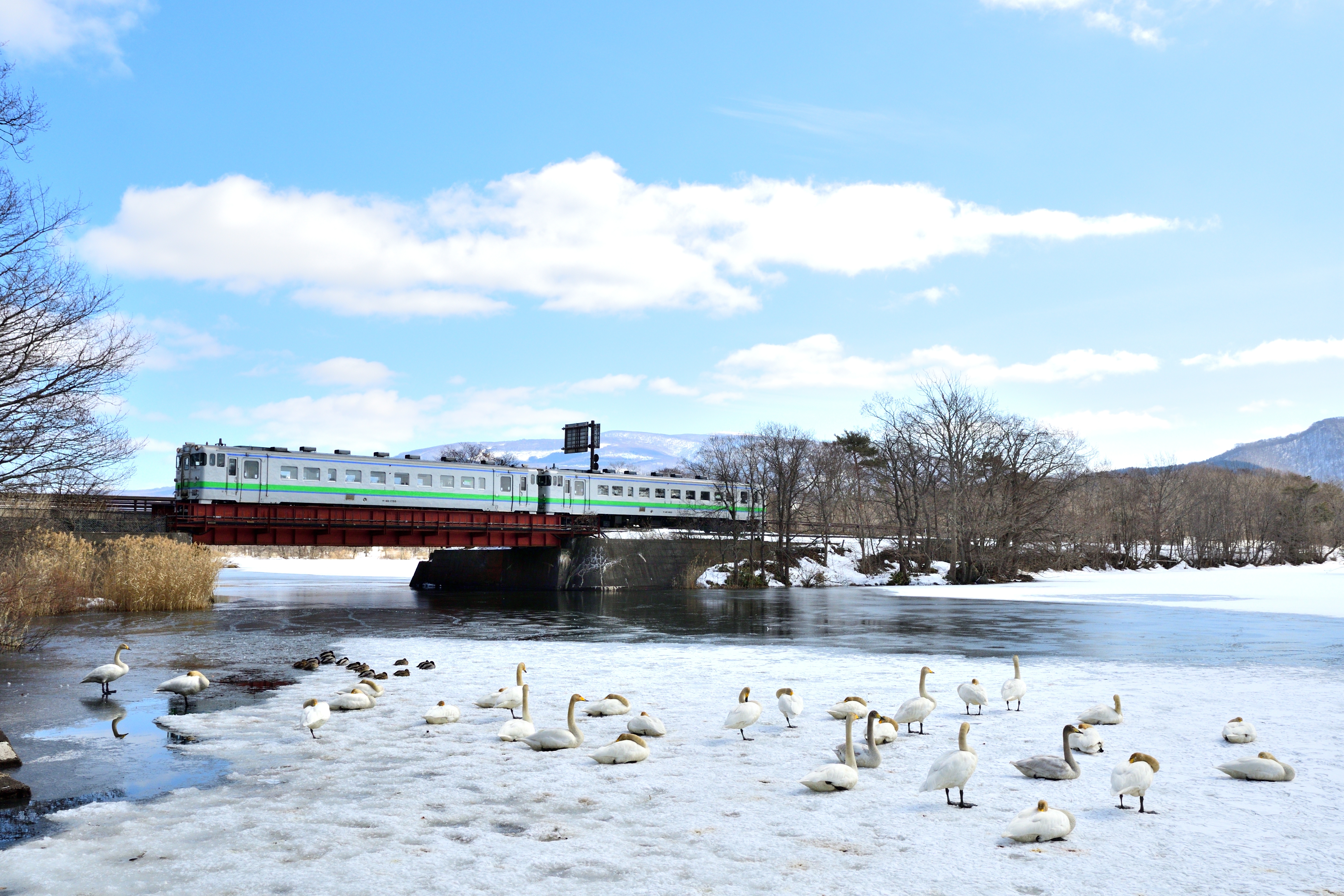 วิวทิวทัศน์หิมะในเส้นทางรถไฟ Furano Line