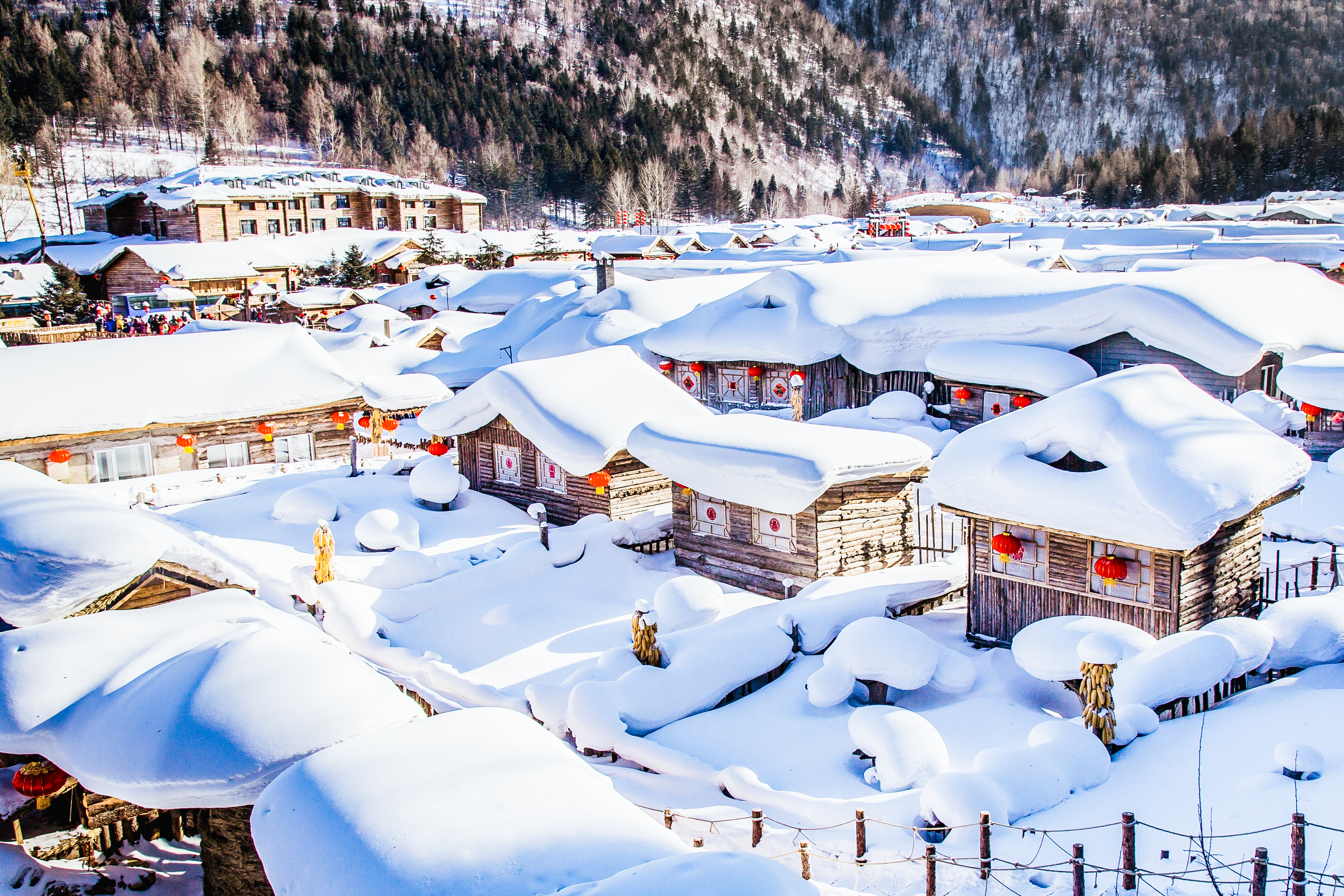 หมู่บ้านหิมะ China Snow Town ฮาร์บิน บ้านไม้ปกคลุมหิมะหนานุ่ม