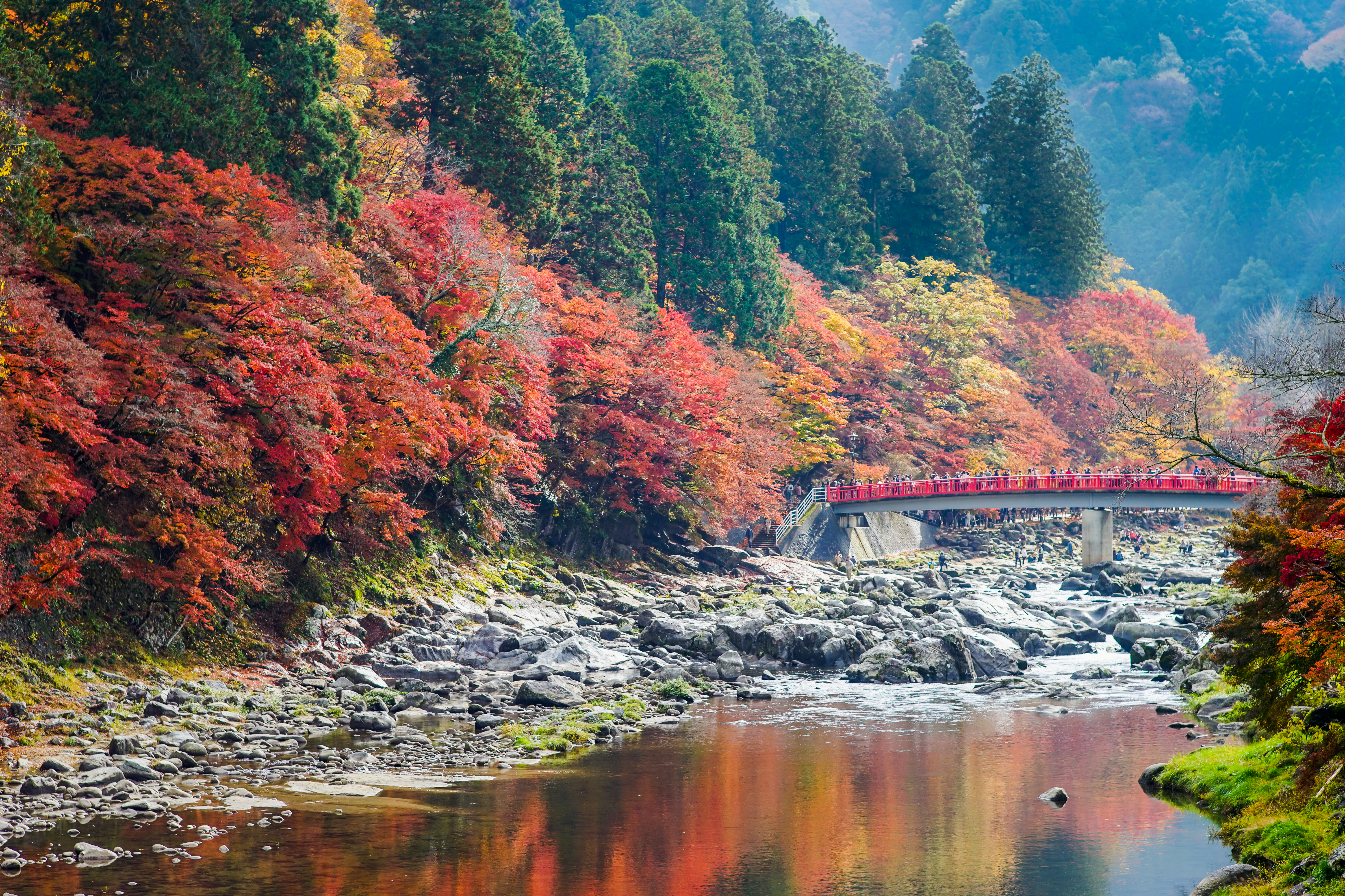 บรรยากาศแม่น้ำโทโมเอะและใบไม้เปลี่ยนสีที่ Korankei Gorge